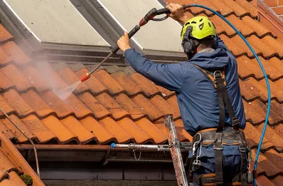 Démoussage et hydrofuge de toiture à Dagneux